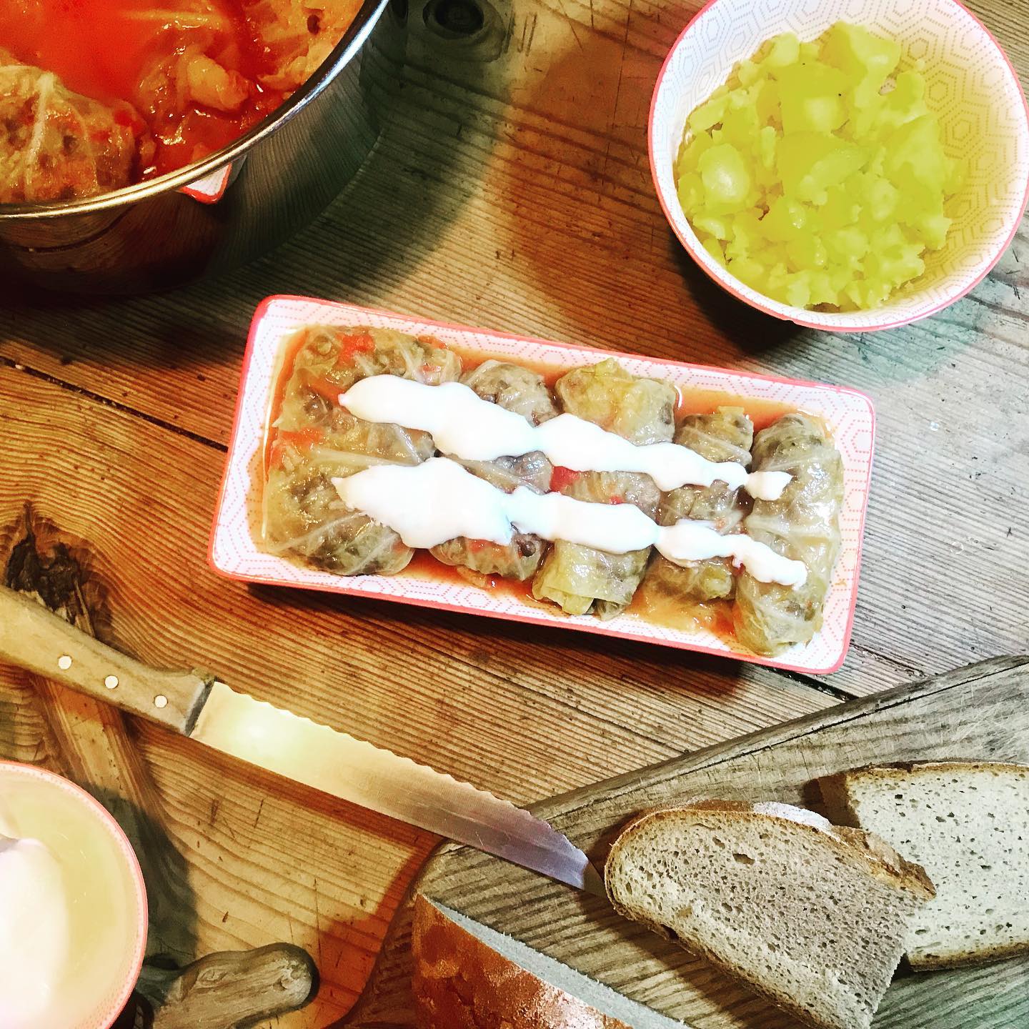 Pannonian cabbage rolls